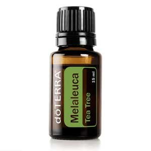 Óleo Essencial de Melaleuca