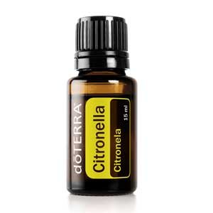 Citronela