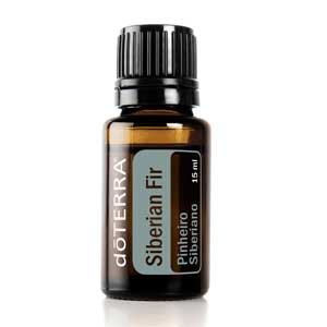 Siberian Fir