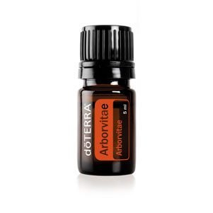 Arborvitae